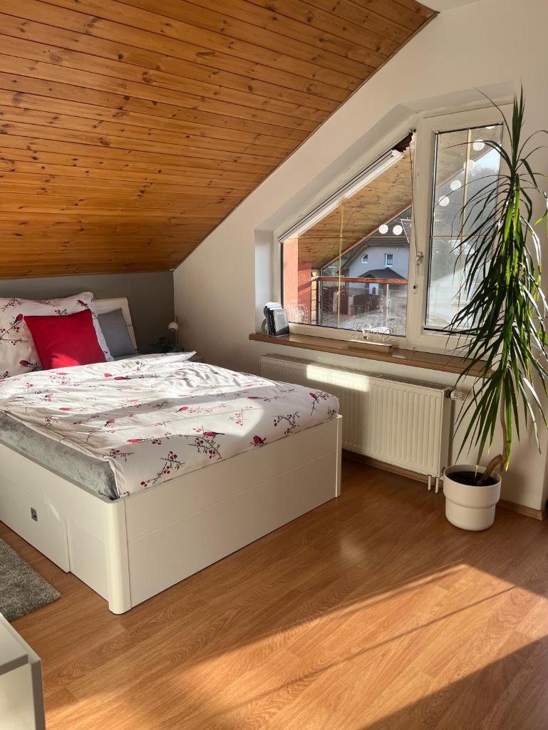 Podkrovní apartmán s balkónem