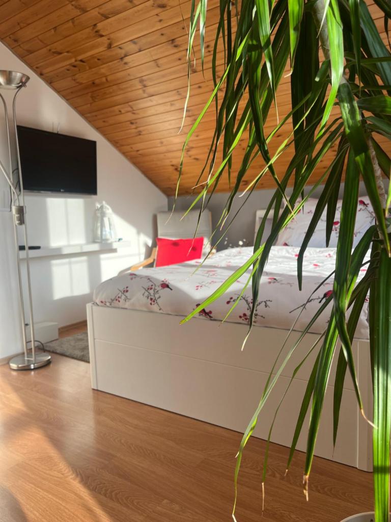 Podkrovní apartmán s balkónem photo 1