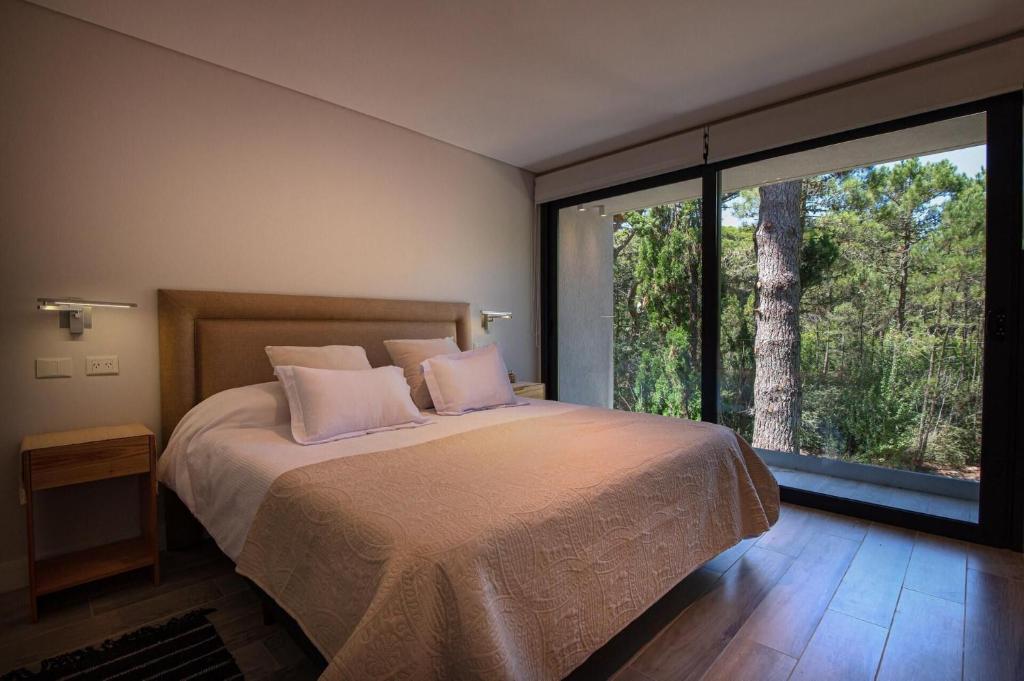 House in the Carilo Woods, Swimming Pool, WiFi photo 4