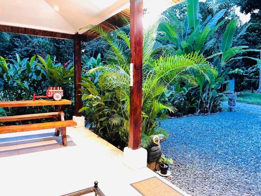 Kay’s Jungle/beach House photo 1