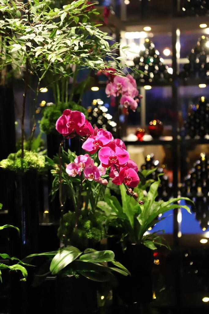 Renaissance Beijing Capital Hotel photo 3