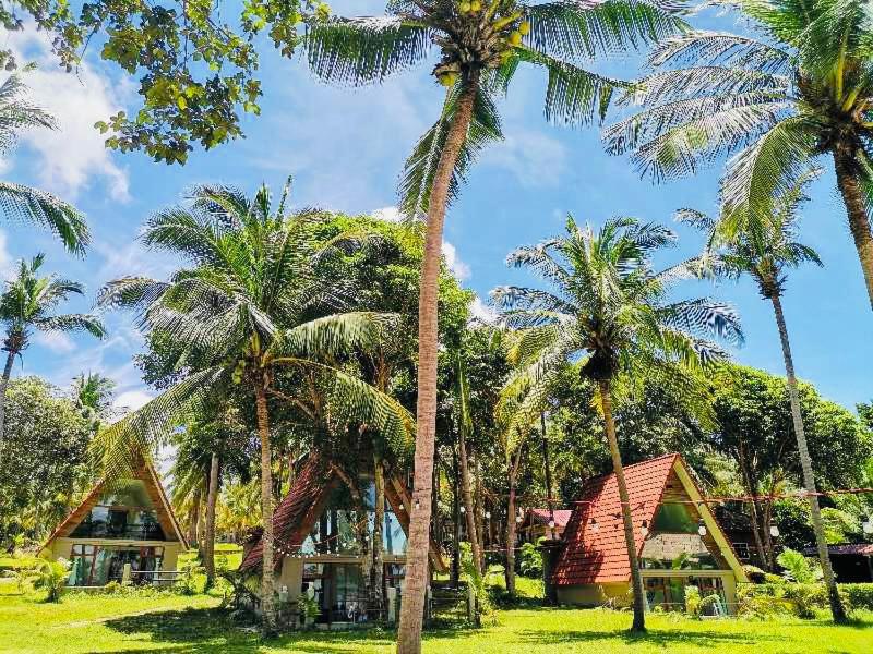 Koh RhongSunshine Resort photo 3