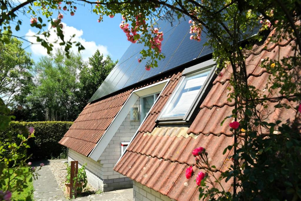 Urlaubsruhe 6 Pers Holiday home w terrace close to National Park Lauwersmeer photo 2