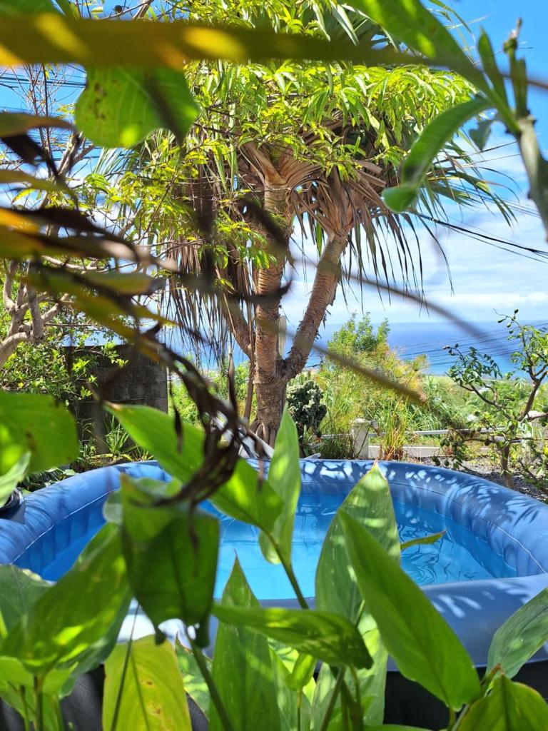 Le Cocon de Madana photo 3