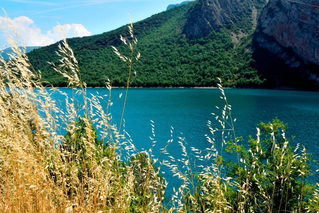 Kampaoh Delta del Ebro photo 3