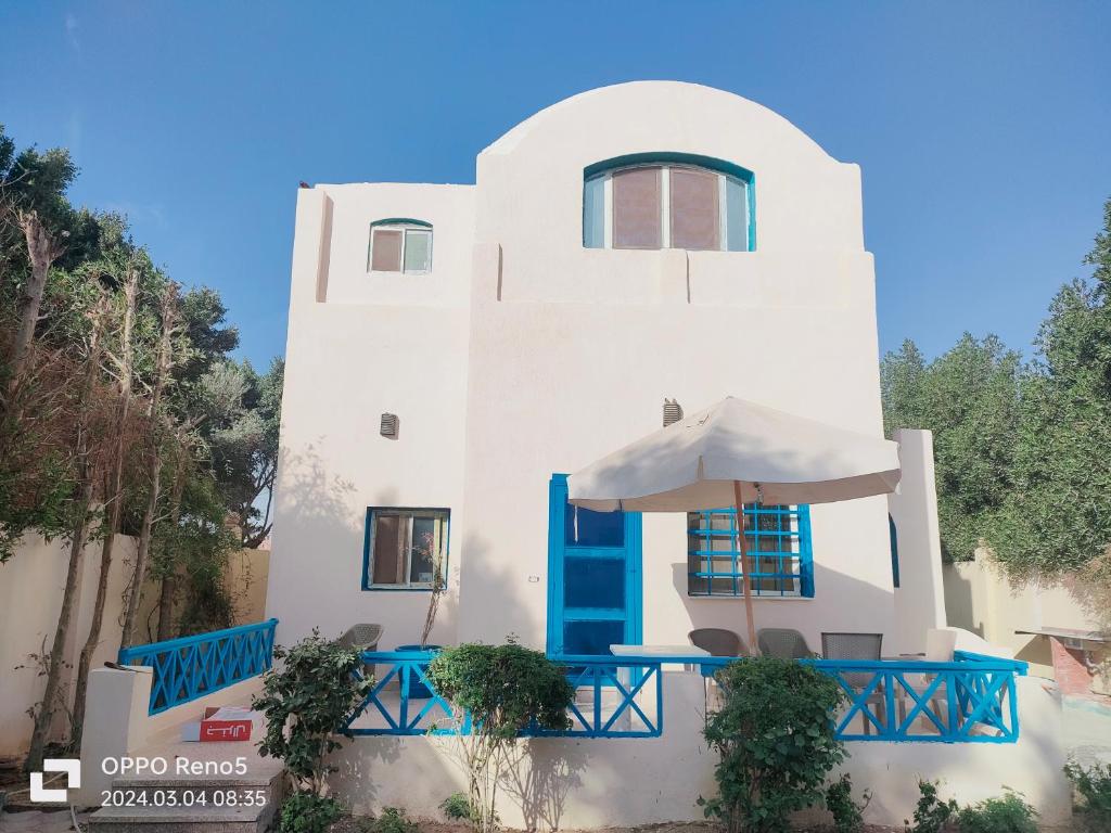 Touha House photo 3