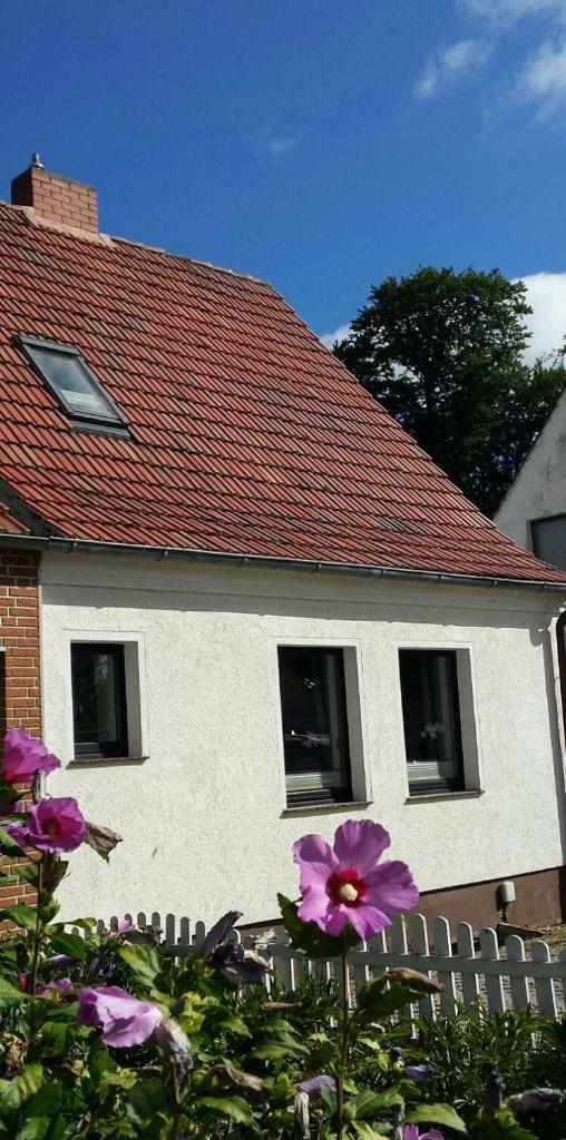 Ferienhaus Urlaubundmeer photo 1