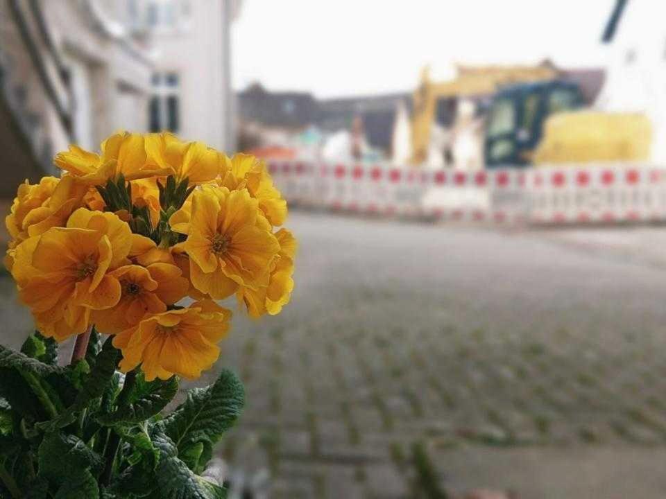 Ferien im Heckenland photo 1