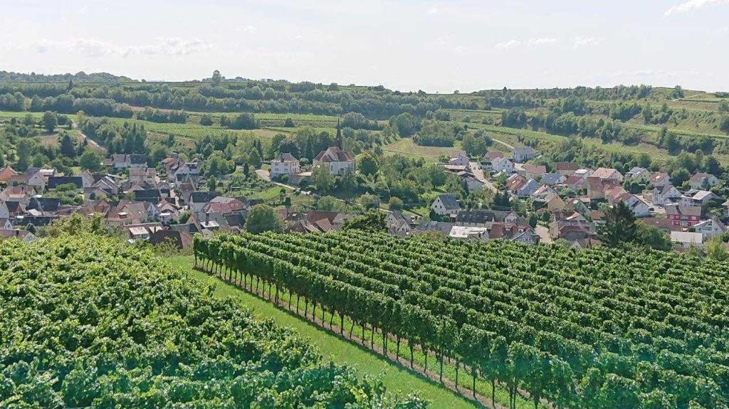 Ferien im Heckenland photo 2