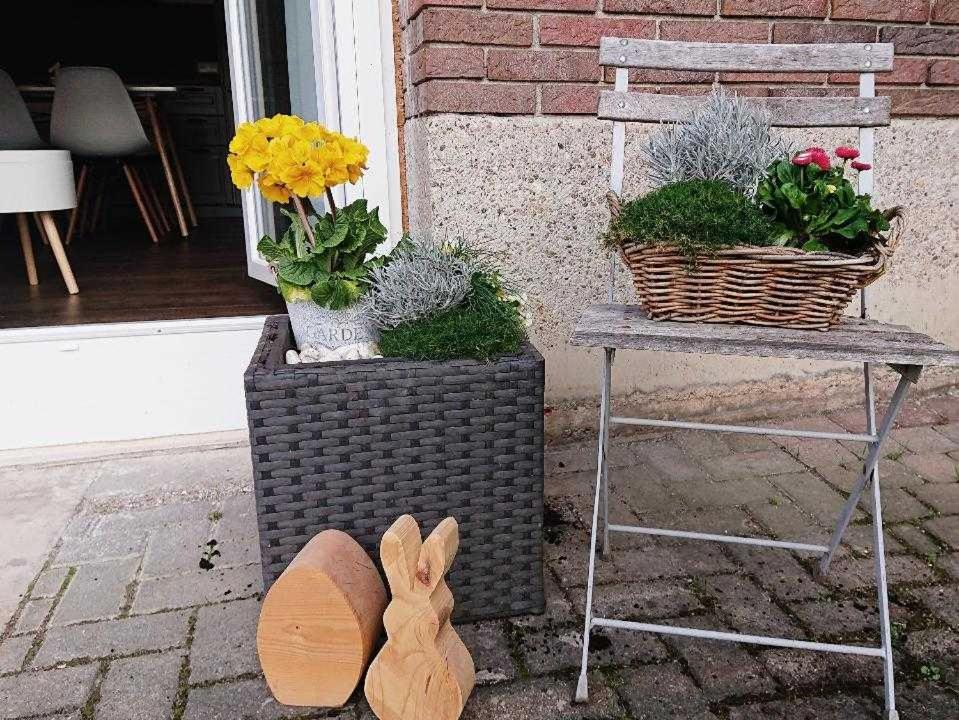 Ferien im Heckenland photo 3
