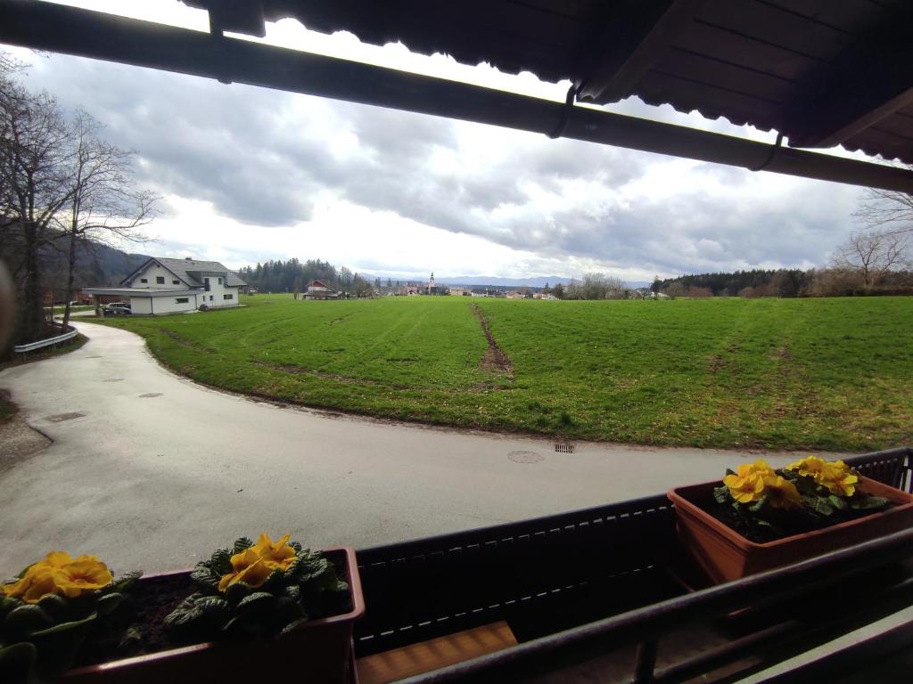 APARTMA ZADNIKAR photo 1