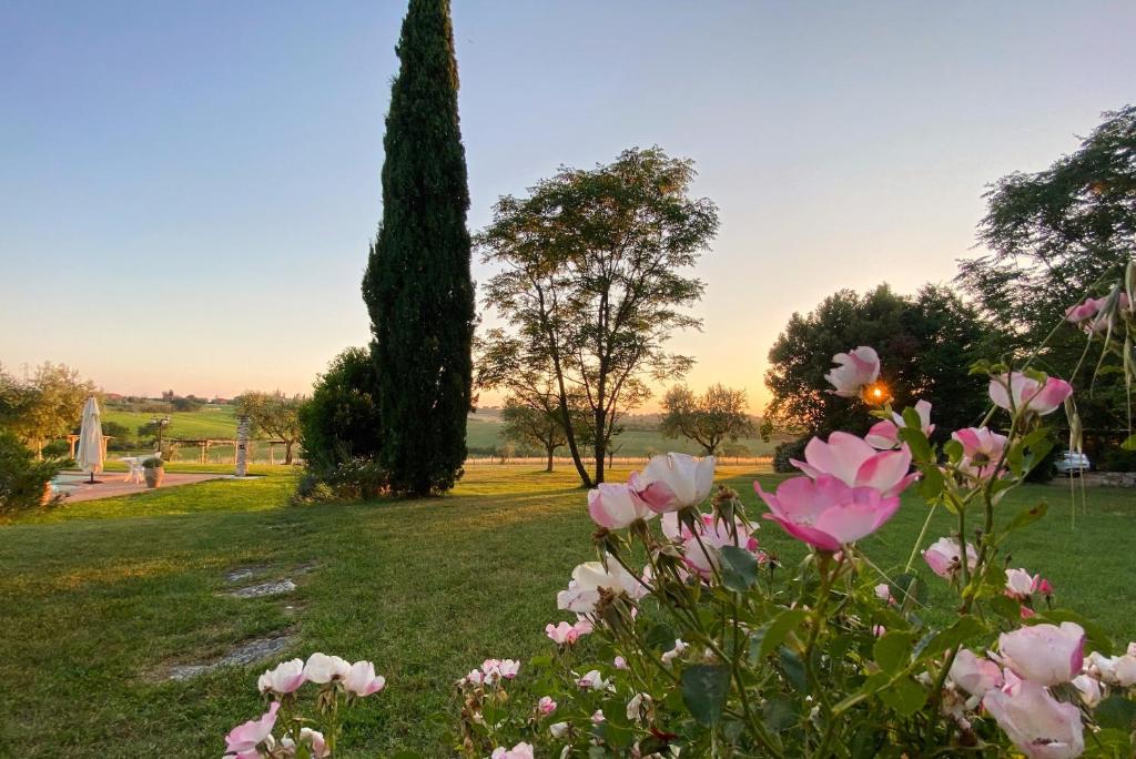Holiday House Borgo Badia photo 2