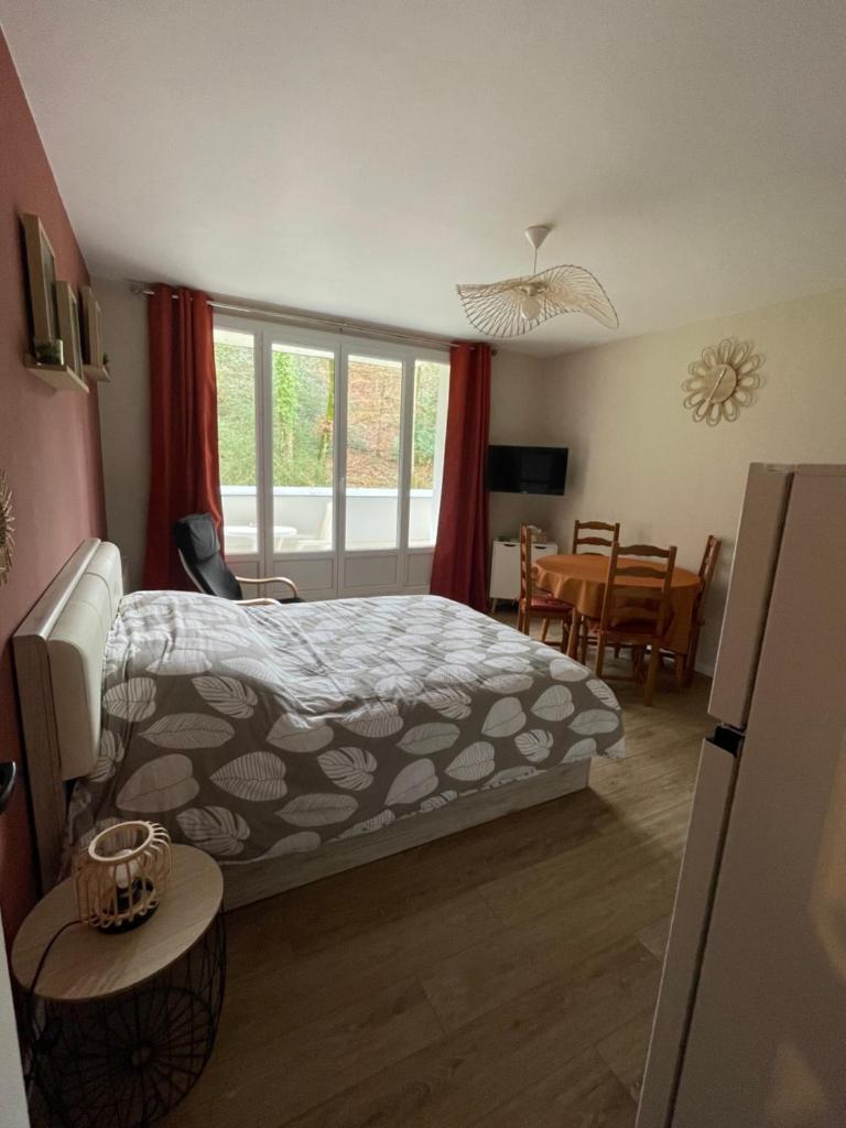 Studio meublé 26m² refait à neuf photo 2