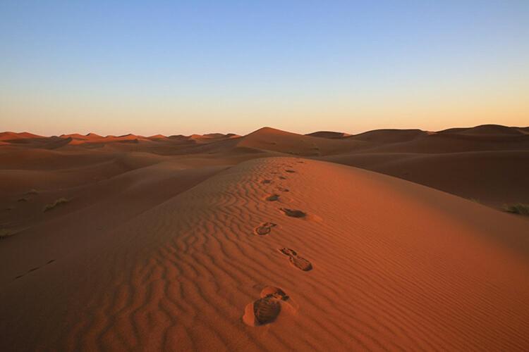 Sahara Berber Camp - Mhamid Discovery Camp photo 3