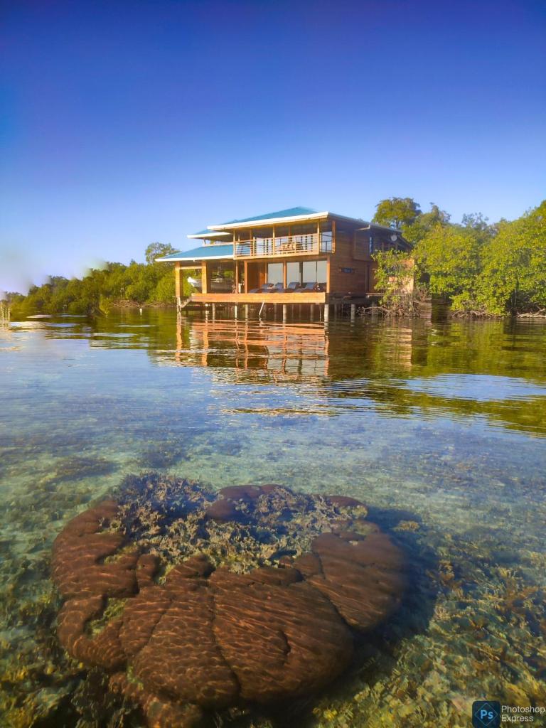 Bahia Coral Lodge photo 3