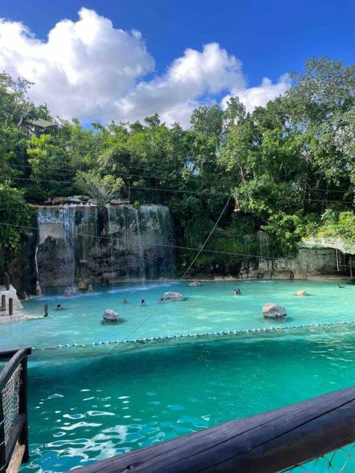 Santa Maria Tropical Oasis photo 4