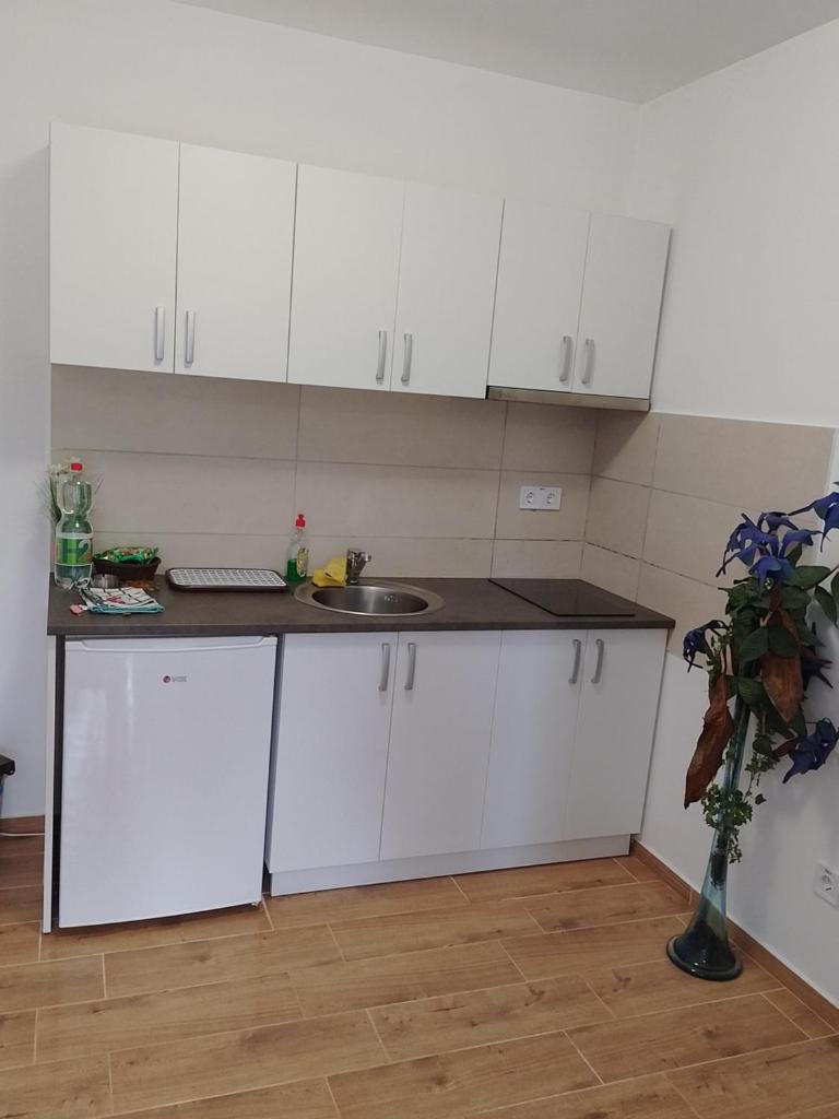 Apartman ELIT photo 4