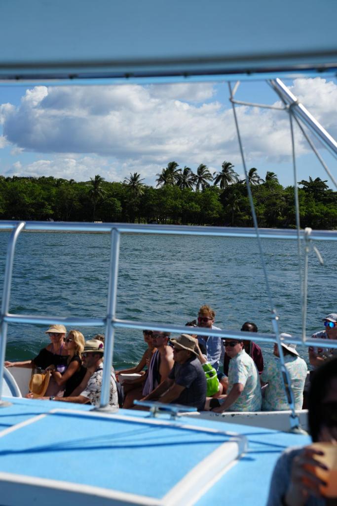 Public Blue Dolphin Sailing photo 2