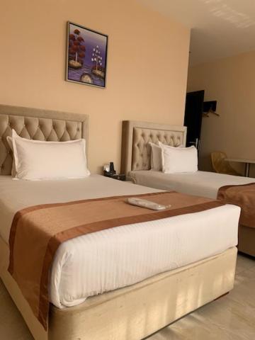 Hotel Crowner David photo 4