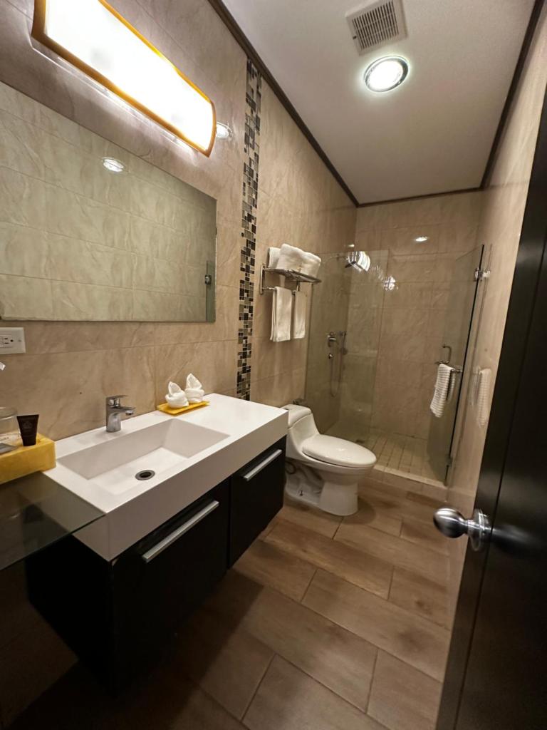 Hotel Crowner David photo 1