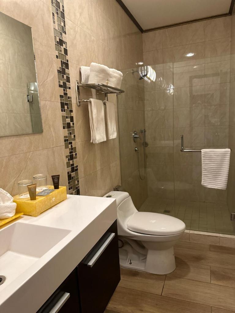 Hotel Crowner David photo 3