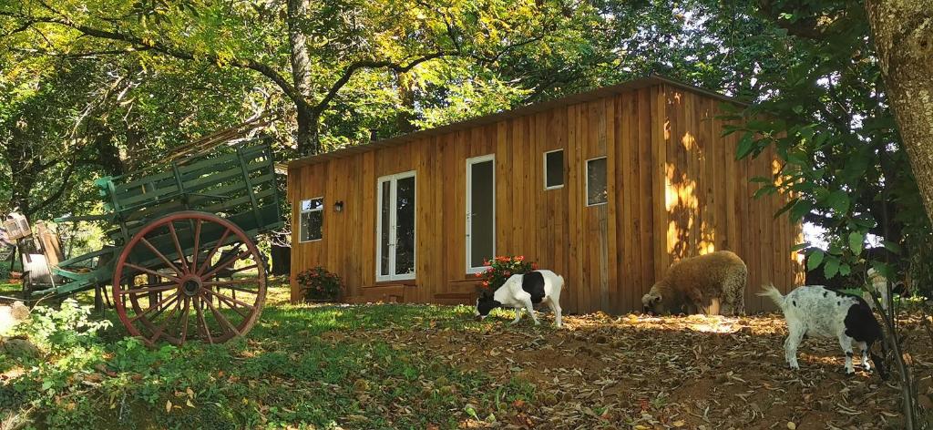 Gîte dans ancien corps de ferme à 5mn de Pompadour