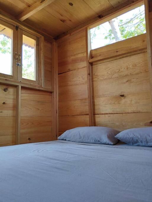 Casa Teepee photo 4