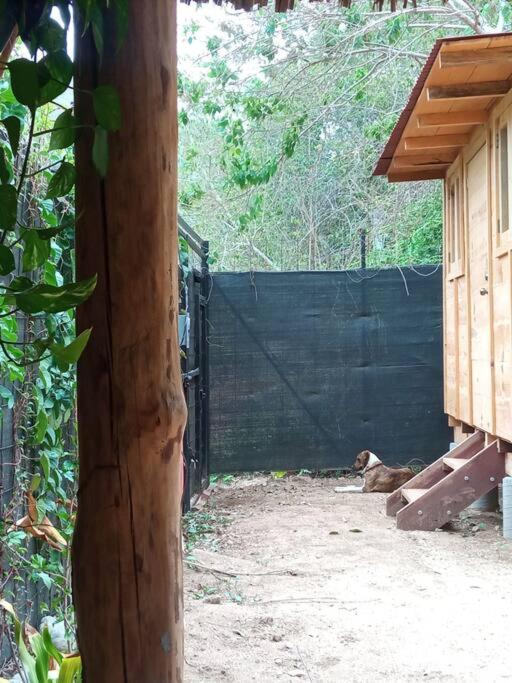 Casa Teepee photo 1