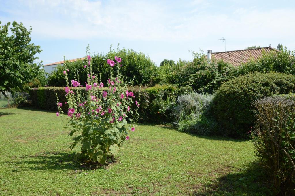 maison idéale pour famille avec enfants photo 1