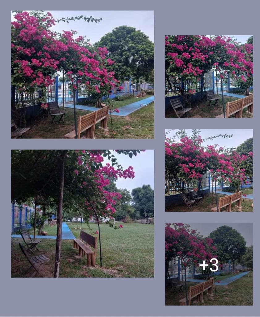 Hotel campestre la Maria photo 1