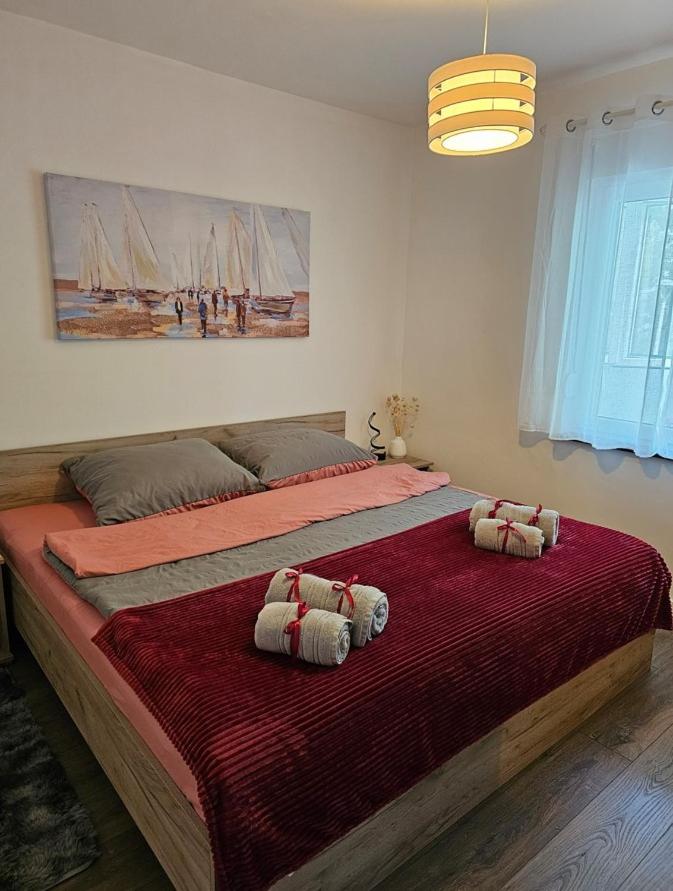 Apartman Aleksandra u strogom centru grada photo 1