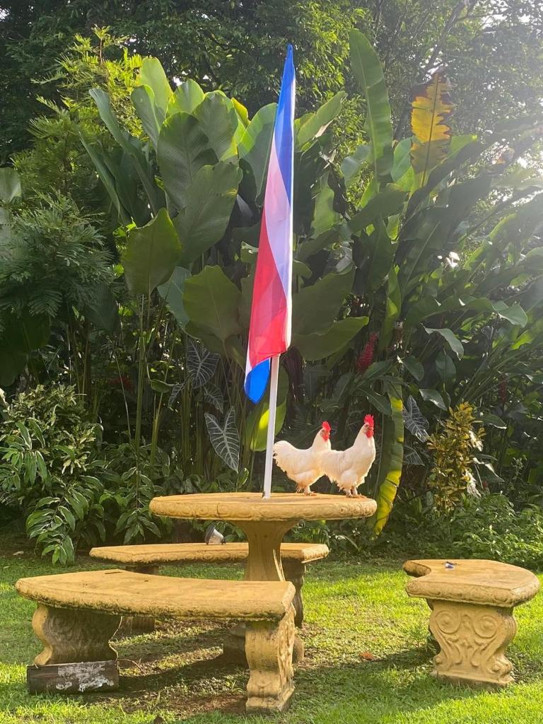 La Purruja Lodge photo 2