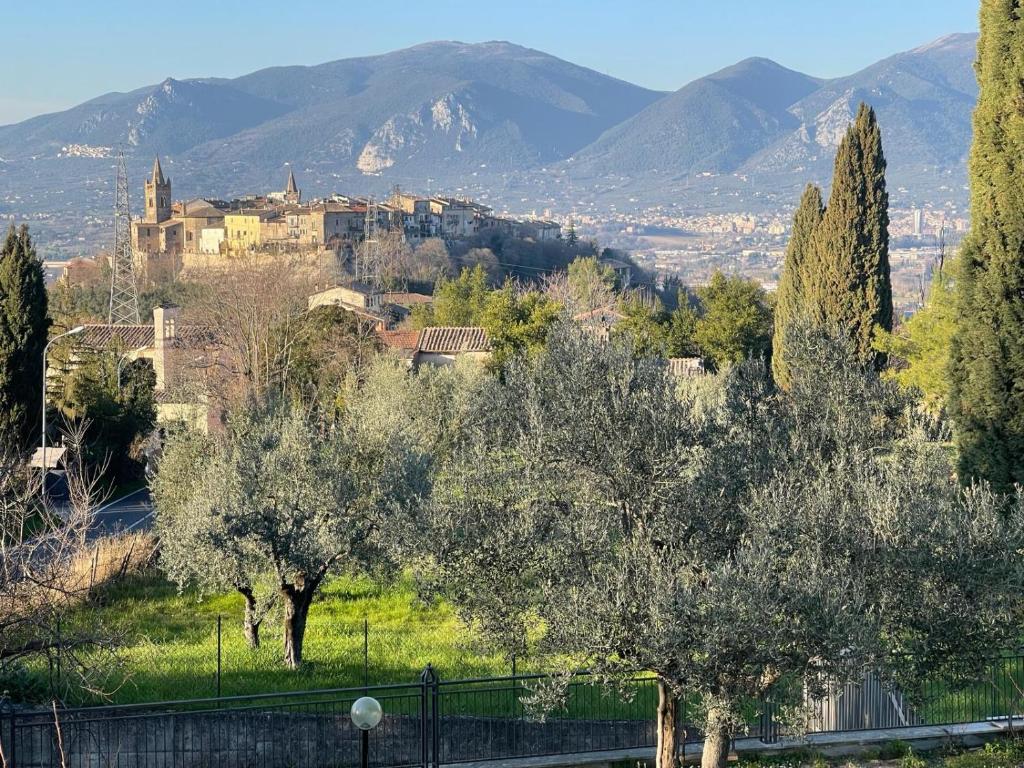 Lattrazionedelgeco photo 2