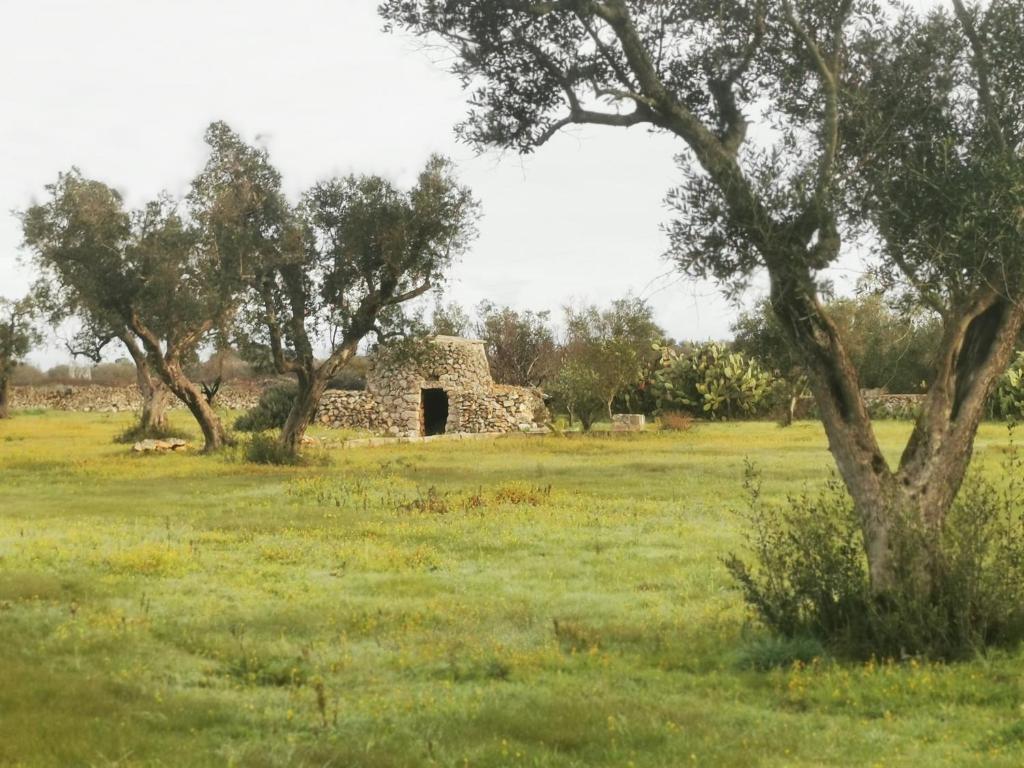Villa Mios photo 2