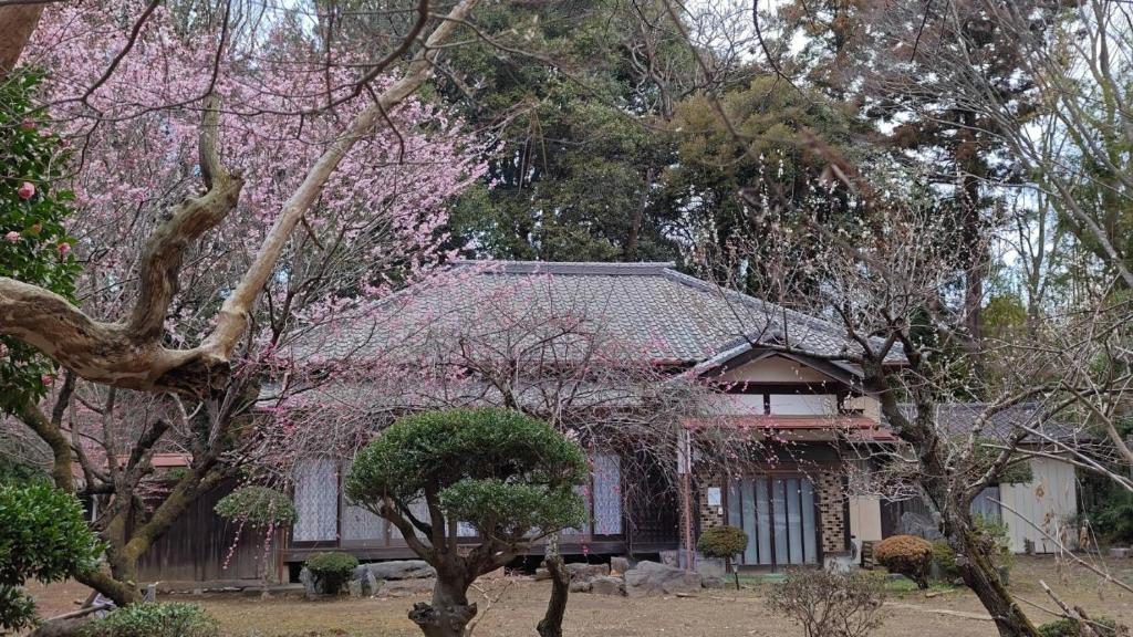 Glamp House HANANOMORI - Vacation STAY 12585