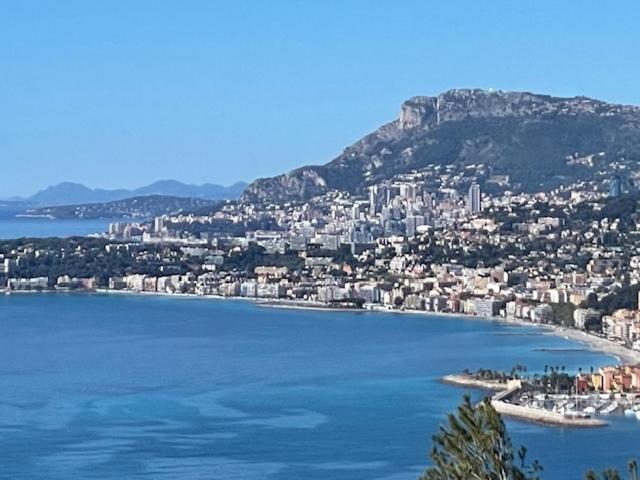 Modern Seaview Villa with Pool above Monaco photo 4
