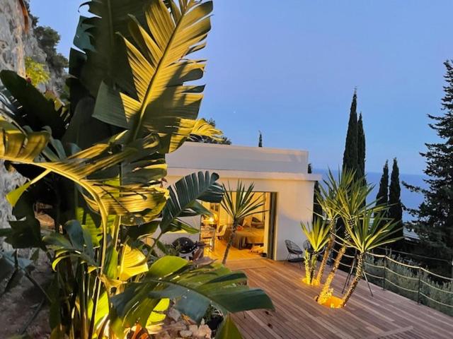 Modern Seaview Villa with Pool above Monaco photo 3