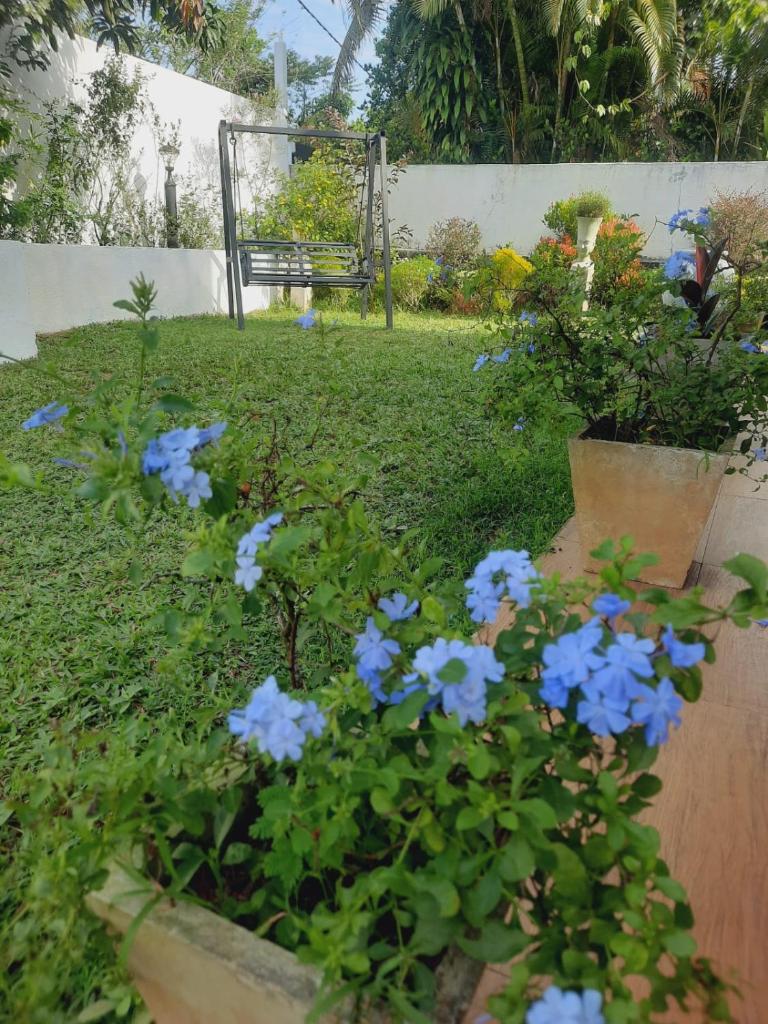 Mellows Home photo 1