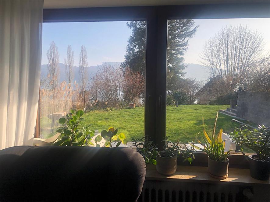 Ferienwohnung mit Blick auf den See photo 4