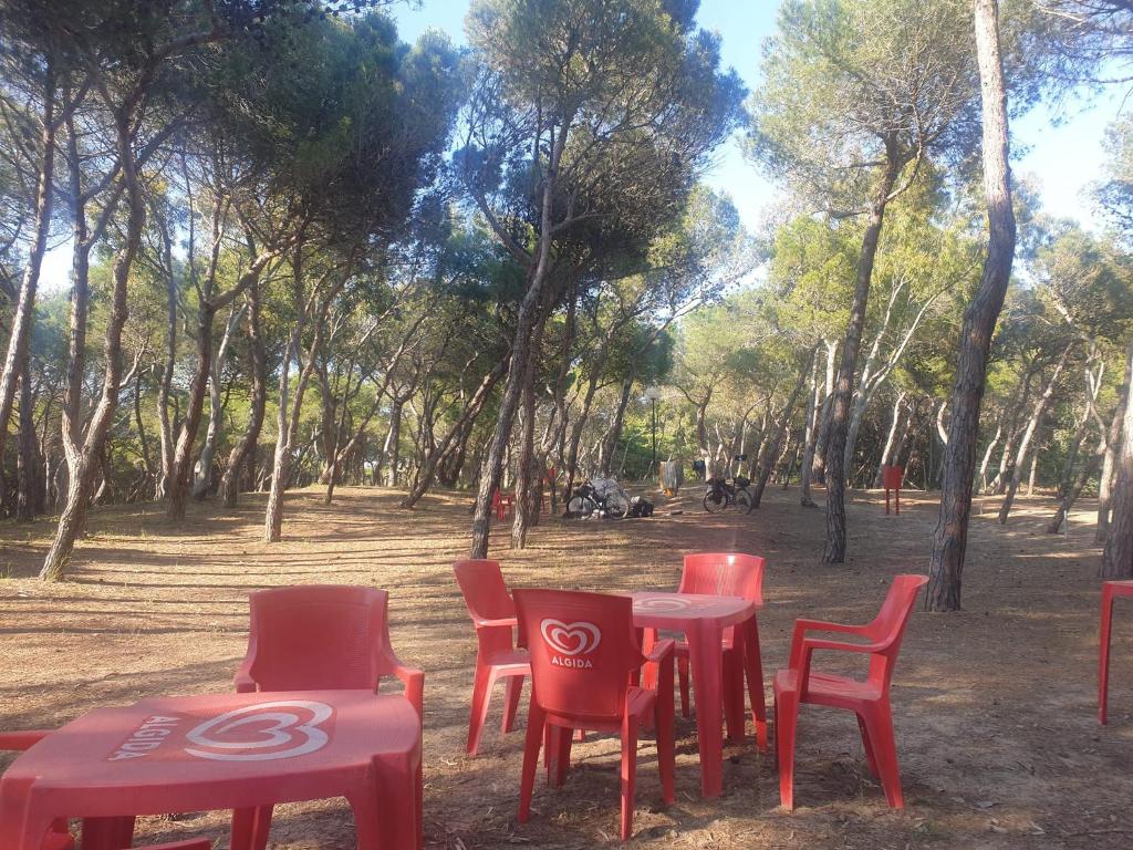 Agricampeggio La Pineta photo 2
