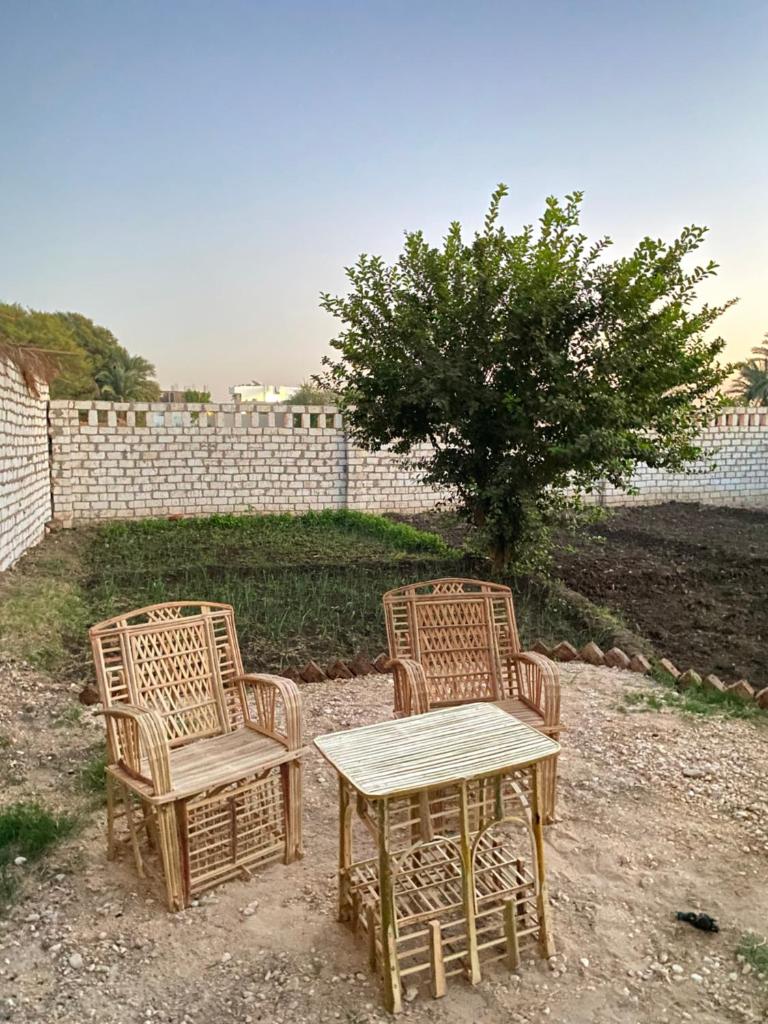 Villa Habu photo 2