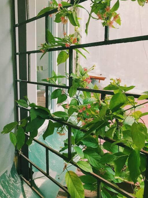 Downtown Cozy Corner