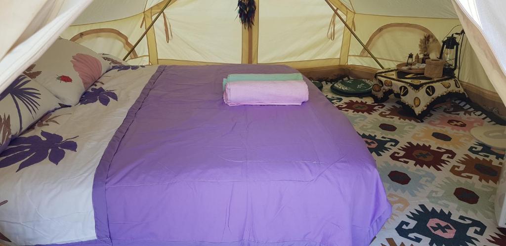 IKWAI Camping photo 2