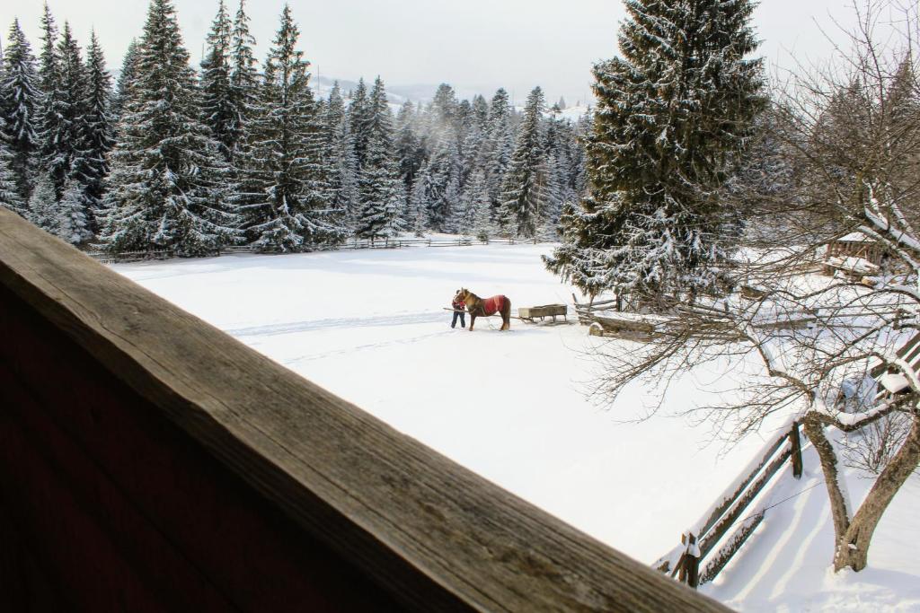Котедж "Гірський Краєвид" photo 3