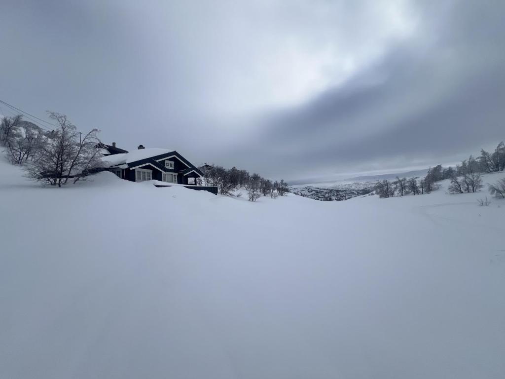 Cozy family friendly cabin