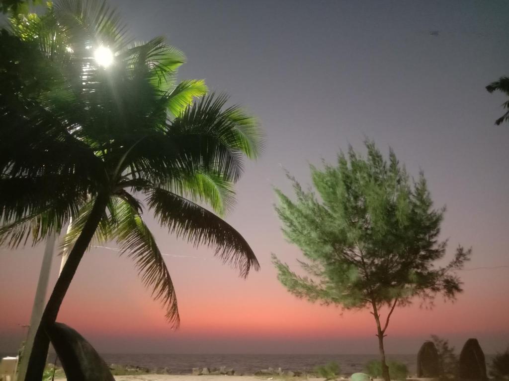 Angeo Beach House photo 1
