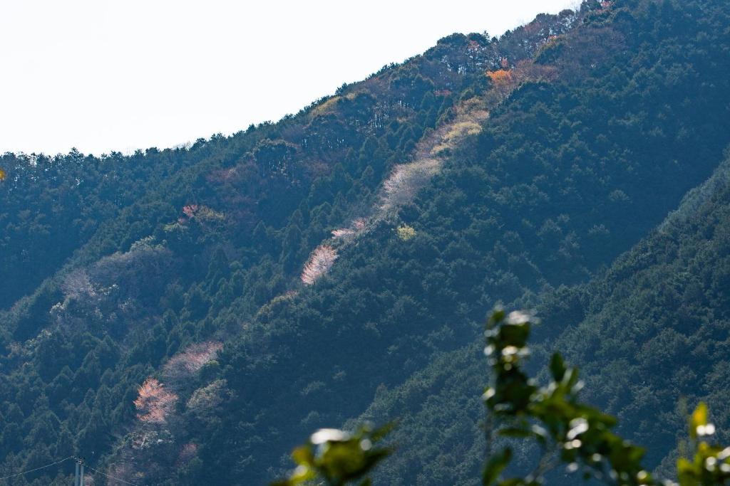 老房子 日日 (くらすように泊まるくら日日) photo 1