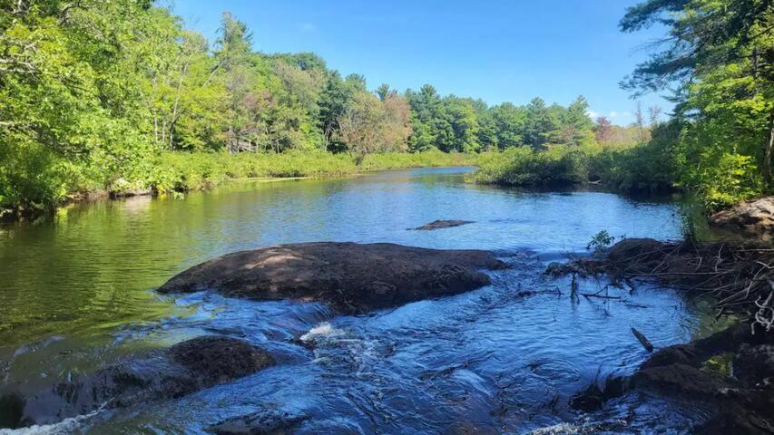 Muskoka Bliss photo 1