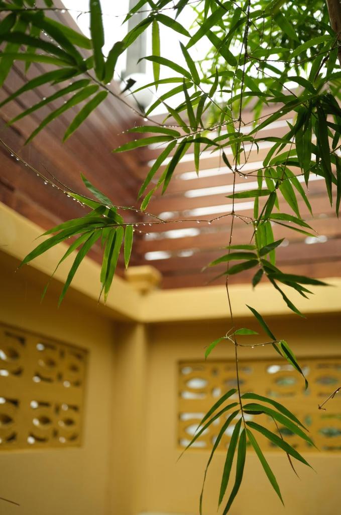 BANYASAMUI Wooden House, Sauna, Cold & Hot Bath in Koh Samui photo 2