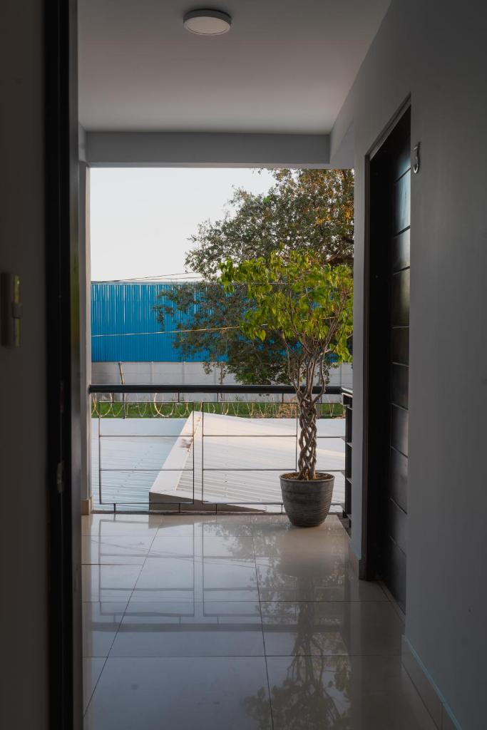 Apto Studio Liberia photo 3